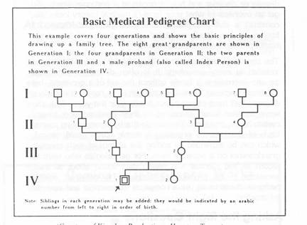 \includegraphics[]{image007.ps}