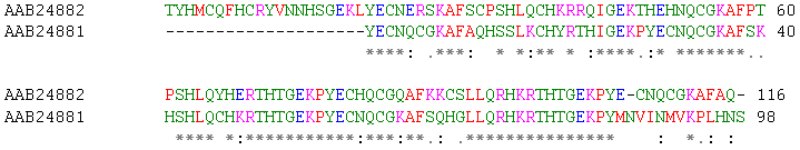 A sequence alignment, produced by ClustalW between two human zinc finger proteins identified by GenBank accession number (from Wikipedia)